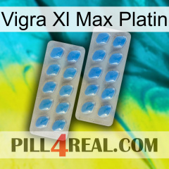 Vigra Xl Max Platinum 23